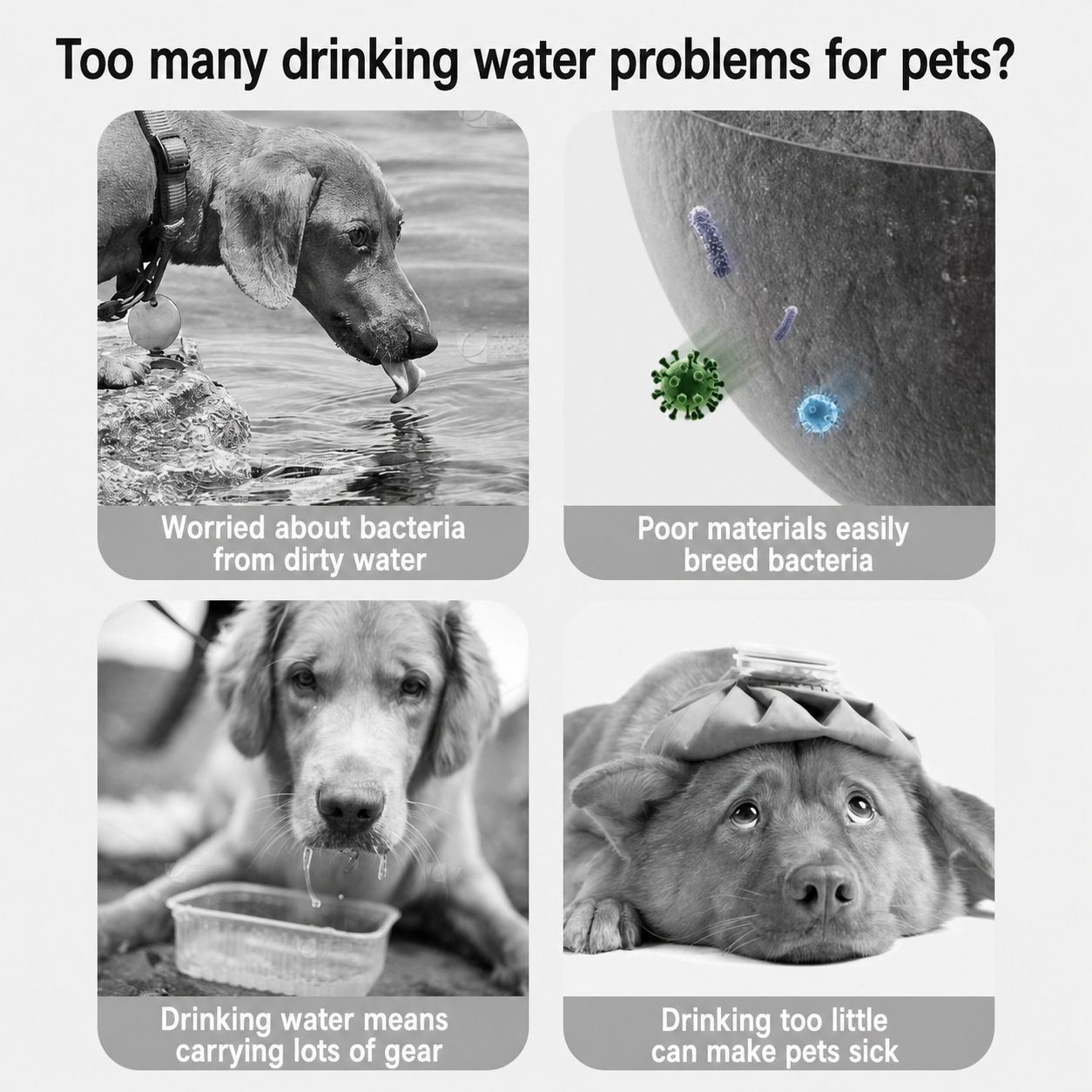 Portable Collapsible Dog Water Bottle for Walks & Outdoor Adventures